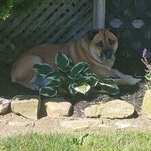 Meet your Posher, Tracy